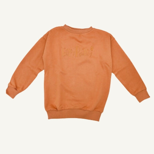Kinder Pullover aus Bio-Baumwolle - sasaní