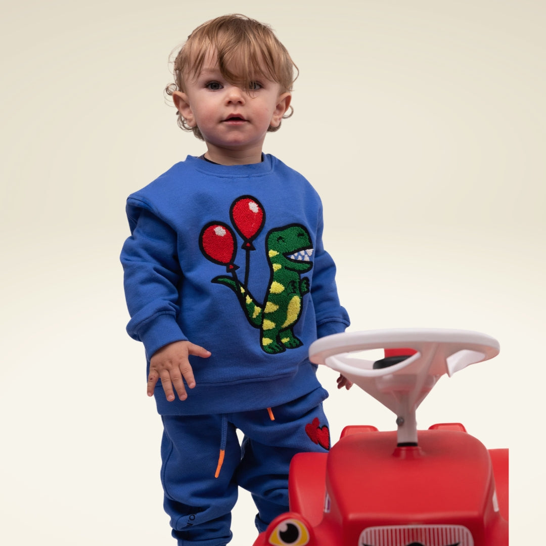 Kinder Sweatshirt aus Bio-Baumwolle mit Motiv Dinosaurier