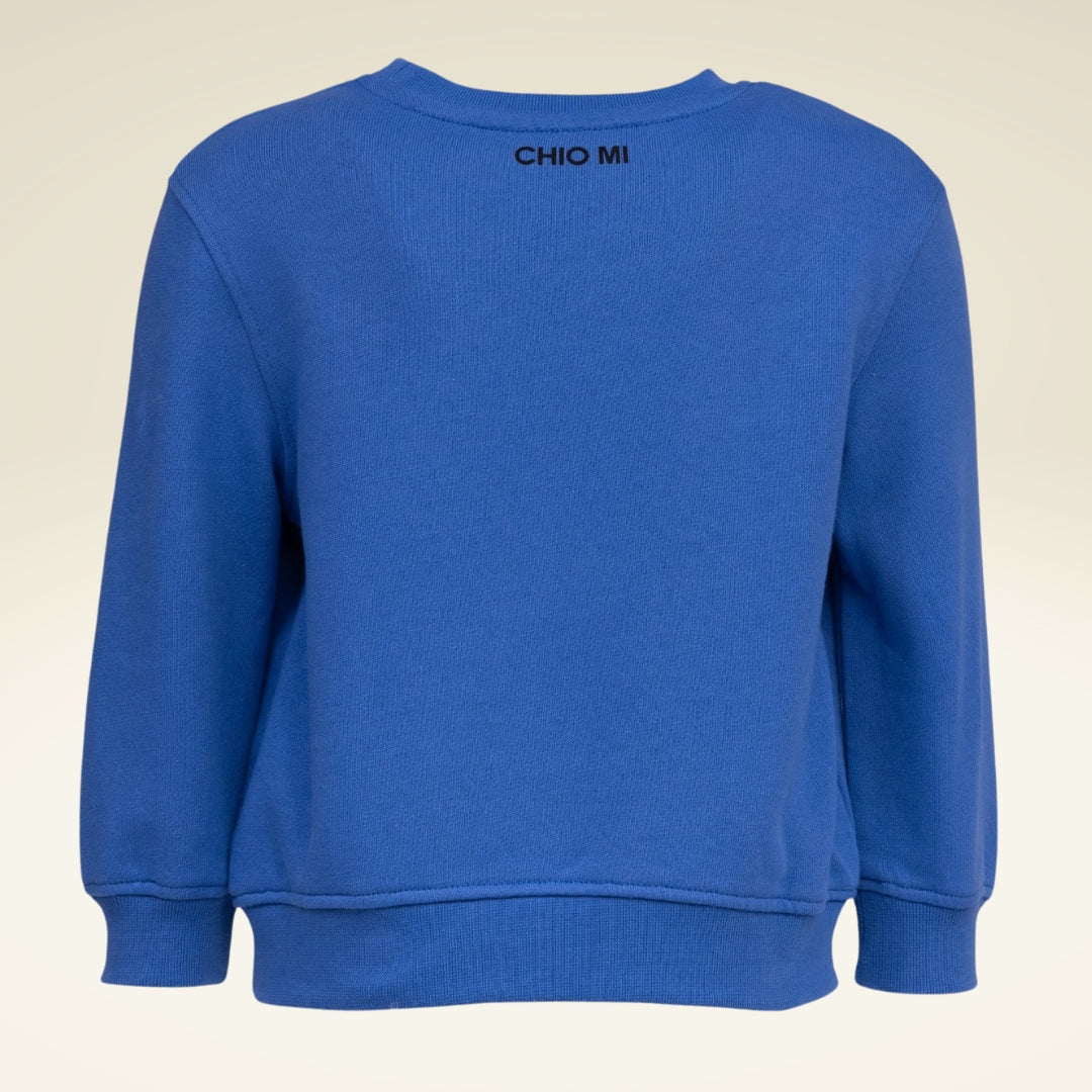 Kinder Sweatshirt aus Bio-Baumwolle mit Motiv Dinosaurier